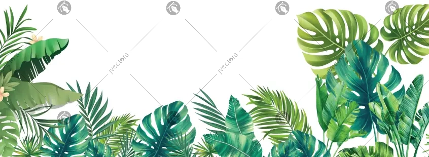 Tropical Frame Vector Art