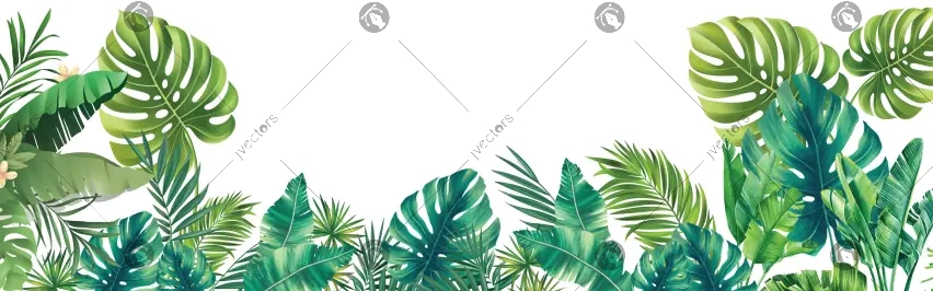 Tropical Frame Background Designs