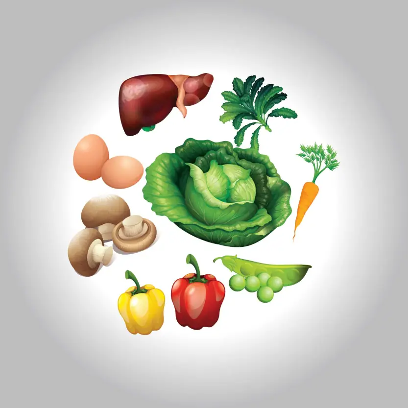 Healthy Vegetable Vector Graphic