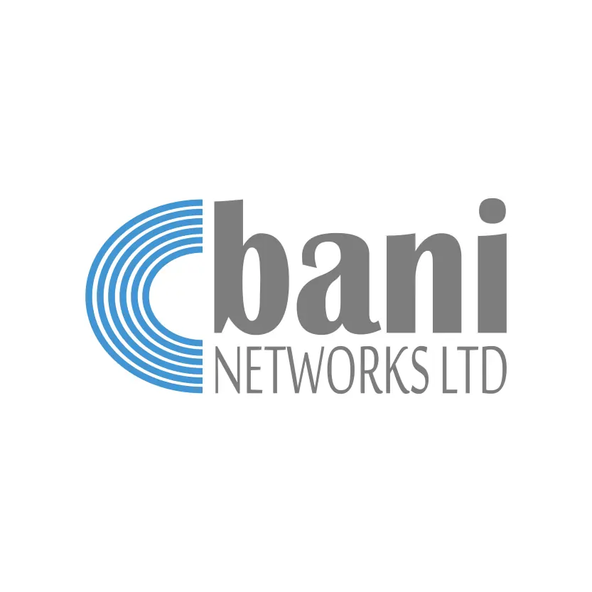 Bani Networks Ltd Logo