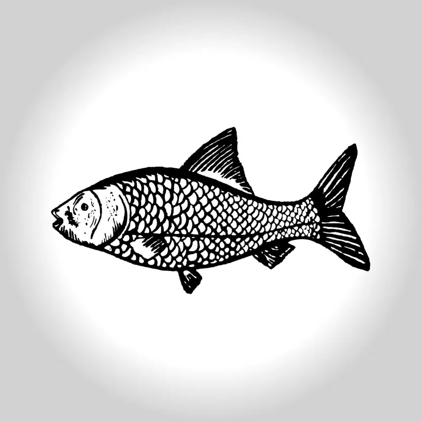 Fish Symbol - Mass Marka - Election Logo Vector