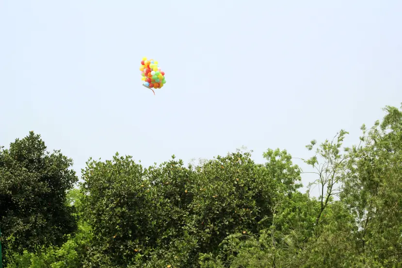 Some balloon events Flags of the event are allowed to fly in the sky