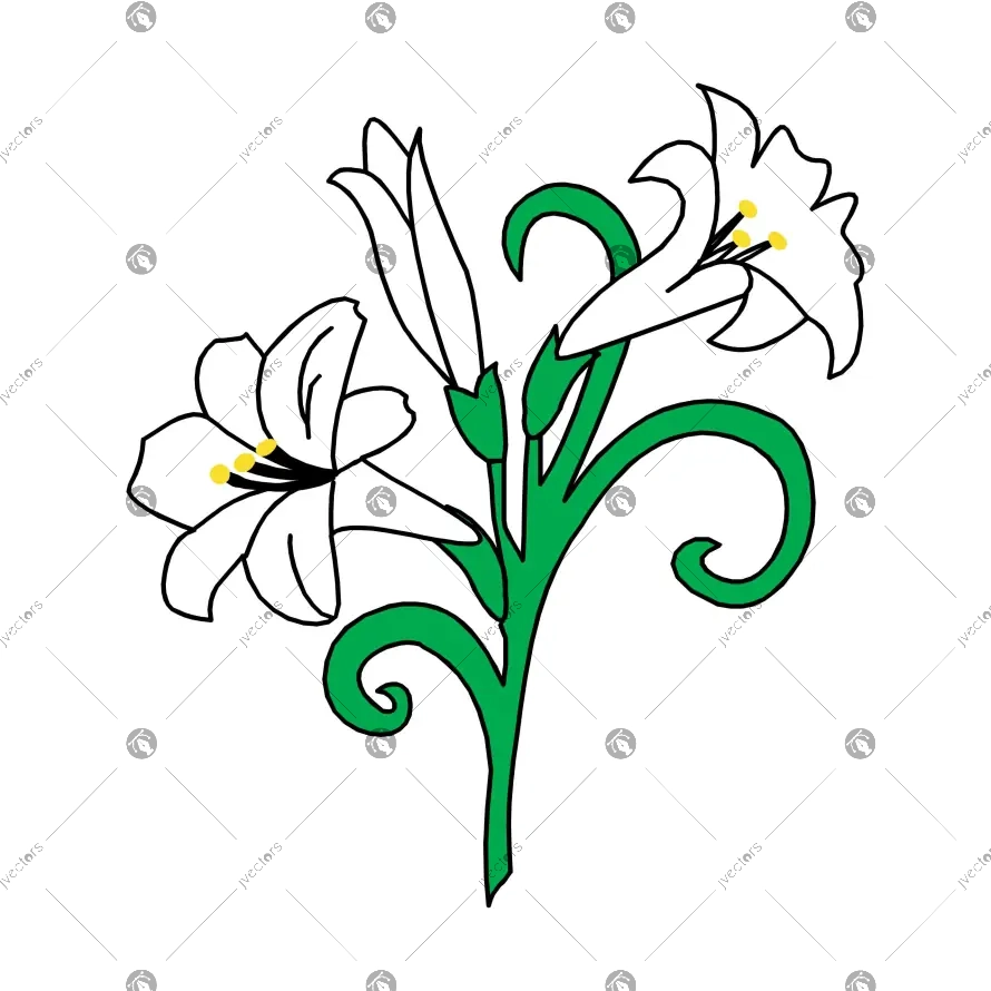 Easter Lily Flowers Bouquet Vector Design