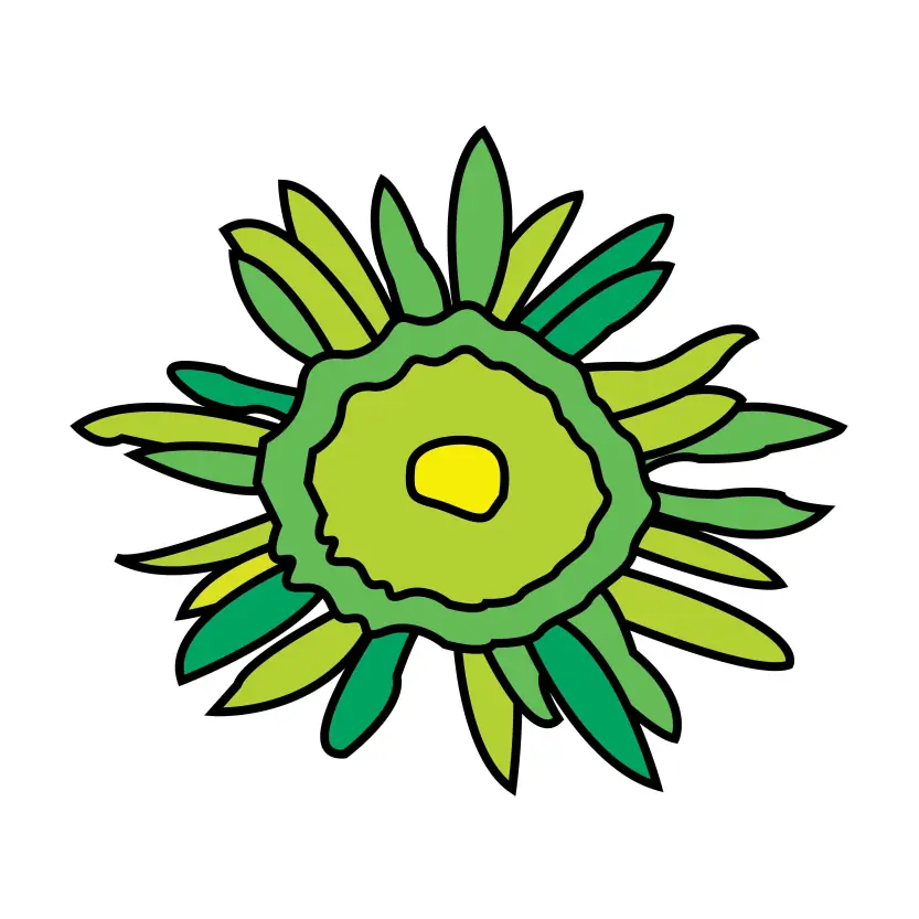 Green Daisy Flower Artwork Design